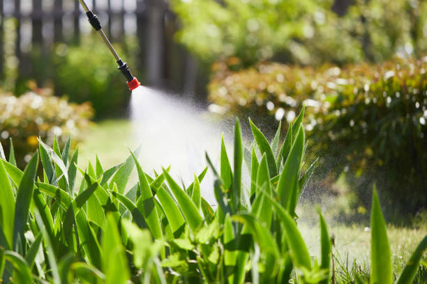 24/7 Emergency Mosquito Control experts in Moxee, WA